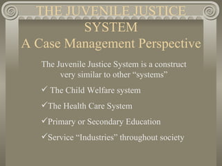 THE JUVENILE JUSTICE SYSTEM A Case Management Perspective ,[object Object],[object Object],[object Object],[object Object],[object Object]