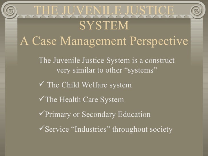 Juvenile Justice System Case Study Juvenile Justice System Case Study