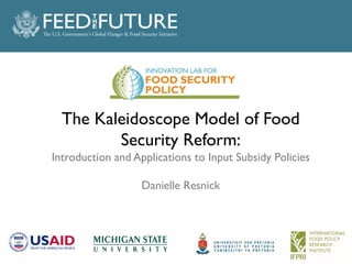 The Kaleidoscope Model of Food
Security Reform:
Introduction and Applications to Input Subsidy Policies
Danielle Resnick
 