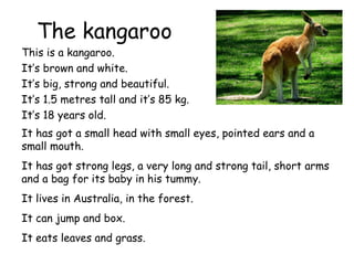 The kangaroo
This is a kangaroo.
It’s brown and white.
It’s big, strong and beautiful.
It’s 1.5 metres tall and it’s 85 kg.
It’s 18 years old.
It has got a small head with small eyes, pointed ears and a
small mouth.
It has got strong legs, a very long and strong tail, short arms
and a bag for its baby in his tummy.
It lives in Australia, in the forest.
It can jump and box.
It eats leaves and grass.
 