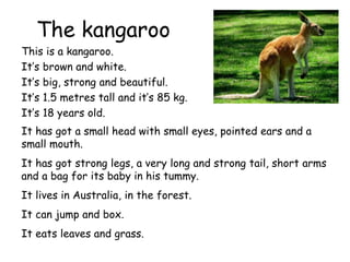The kangaroo
This is a kangaroo.
It’s brown and white.
It’s big, strong and beautiful.
It’s 1.5 metres tall and it’s 85 kg.
It’s 18 years old.
It has got a small head with small eyes, pointed ears and a
small mouth.
It has got strong legs, a very long and strong tail, short arms
and a bag for its baby in his tummy.
It lives in Australia, in the forest.
It can jump and box.
It eats leaves and grass.
 