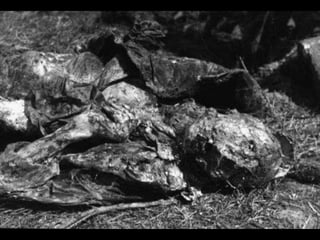 The Katyn Forest Massacre