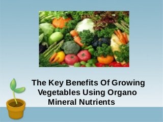 The Key Benefits Of Growing
Vegetables Using Organo
Mineral Nutrients

 