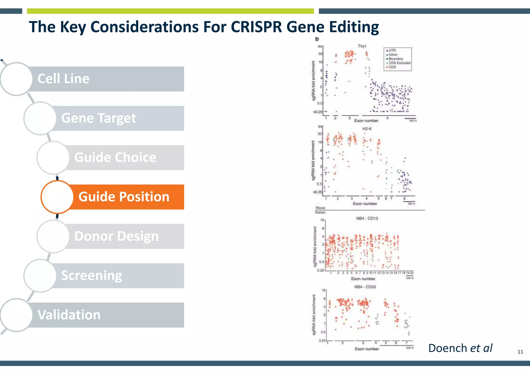 11
The Key Considerations For CRISPR Gene Editing
Cell Line
Gene Target
Guide Choice
Guide Position
Donor Design
Screening
Validation
Doench et al
 