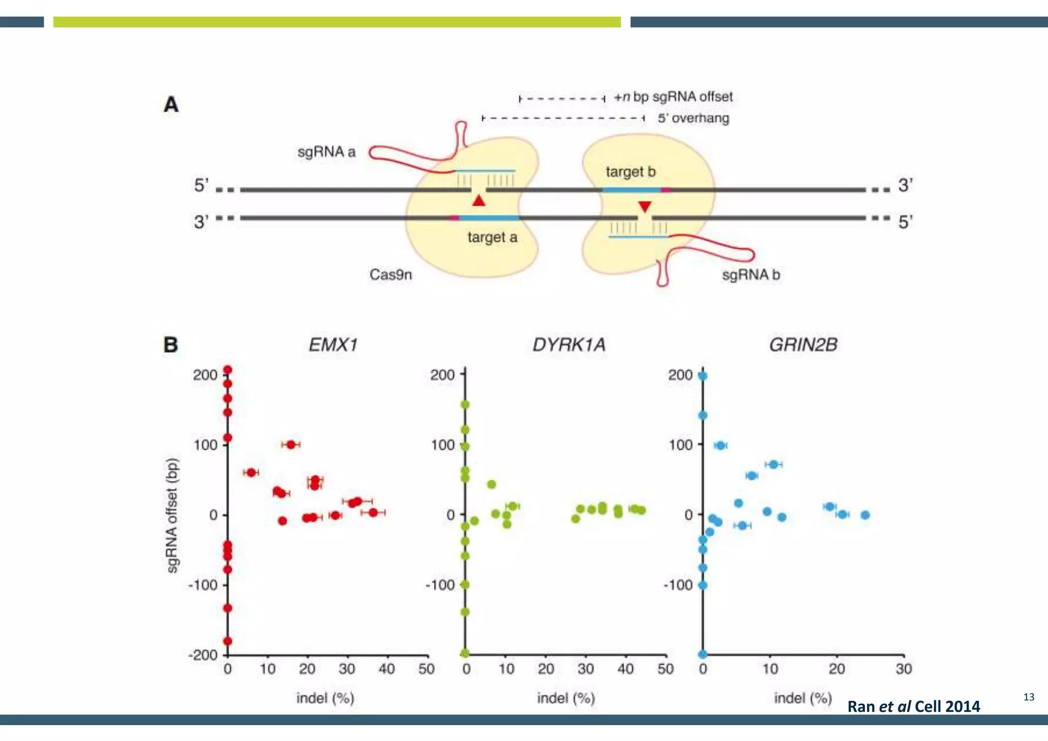 13
Ran et al Cell 2014
 