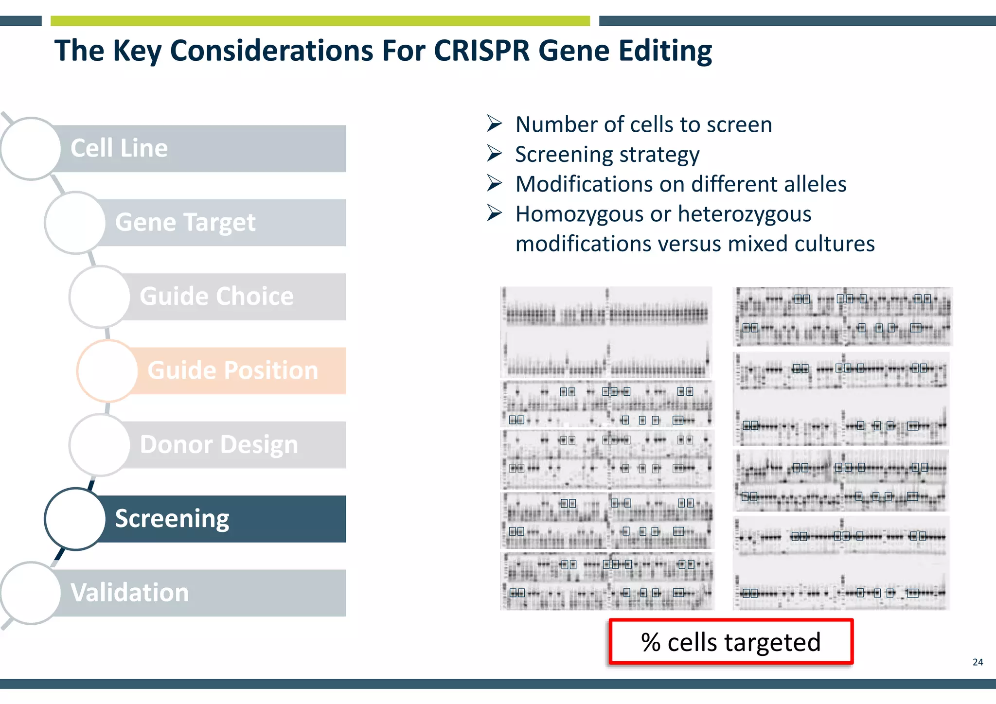 24
Cell Line
Gene Target
Guide Choice
Guide Position
Donor Design
Screening
Validation
The Key Considerations For CRISPR Gene Editing
 Number of cells to screen
 Screening strategy
 Modifications on different alleles
 Homozygous or heterozygous
modifications versus mixed cultures
% cells targeted
 