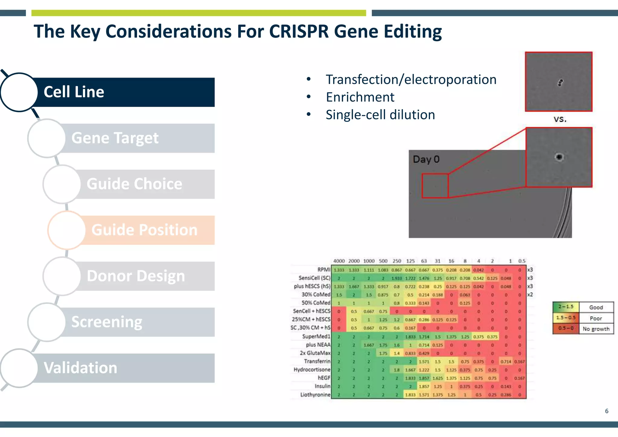 6
Cell Line
Gene Target
Guide Choice
Guide Position
Donor Design
Screening
Validation
The Key Considerations For CRISPR Gene Editing
• Transfection/electroporation
• Enrichment
• Single-cell dilution
 