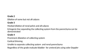 Comprehensive Overview of Kidney Anatomy, Function, and Pathology | PPTX