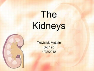 The
Kidneys
 Travis M. McLain
      Bio 120
    1/22/2012
 