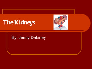 The Kidneys  By: Jenny Delaney  