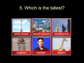 5. Which is the tallest?
 