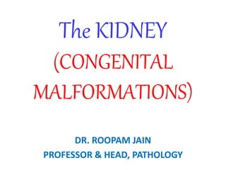 The KIDNEY
(CONGENITAL
MALFORMATIONS)
DR. ROOPAM JAIN
PROFESSOR & HEAD, PATHOLOGY
 