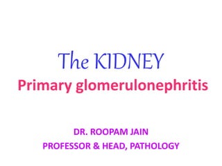 The KIDNEY
Primary glomerulonephritis
DR. ROOPAM JAIN
PROFESSOR & HEAD, PATHOLOGY
 