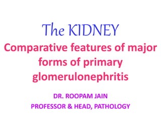 The KIDNEY
Comparative features of major
forms of primary
glomerulonephritis
DR. ROOPAM JAIN
PROFESSOR & HEAD, PATHOLOGY
 