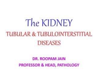 The KIDNEY
TUBULAR & TUBULOINTERSTITIAL
DISEASES
DR. ROOPAM JAIN
PROFESSOR & HEAD, PATHOLOGY
 