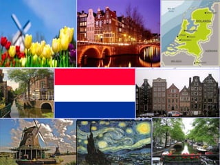 THE KINGDOM OF NETHERLANDS
 