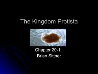 The Kingdom Protista Chapter 20-1  Brian Sittner 