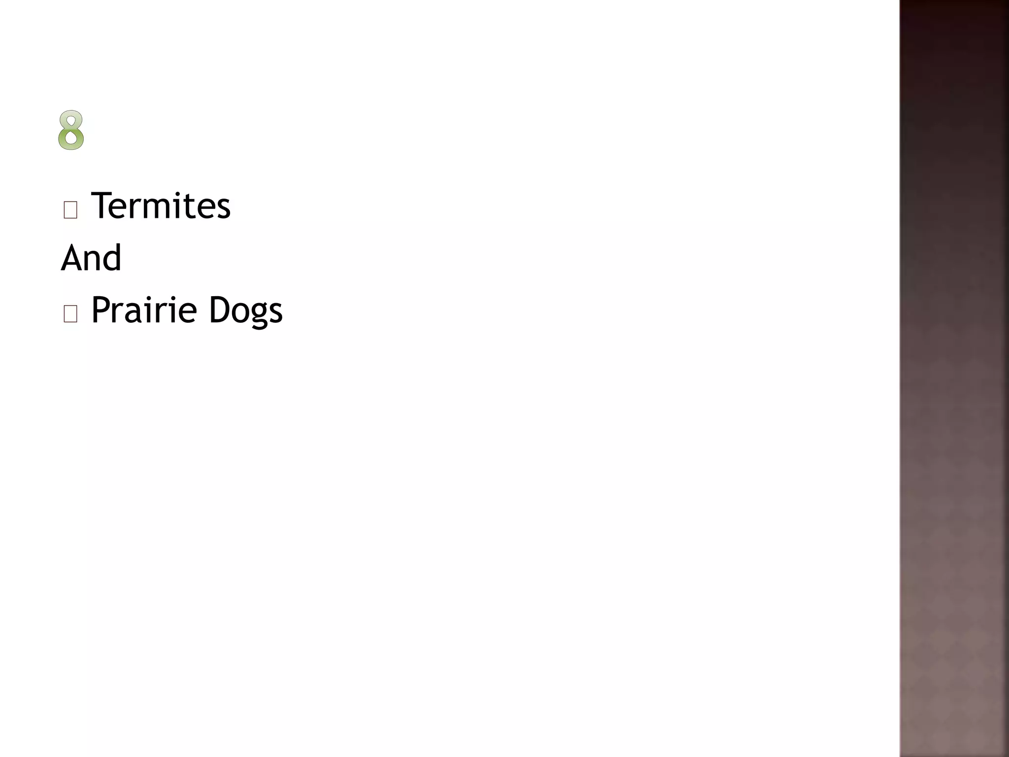 Termites 
And 
Prairie Dogs 
 