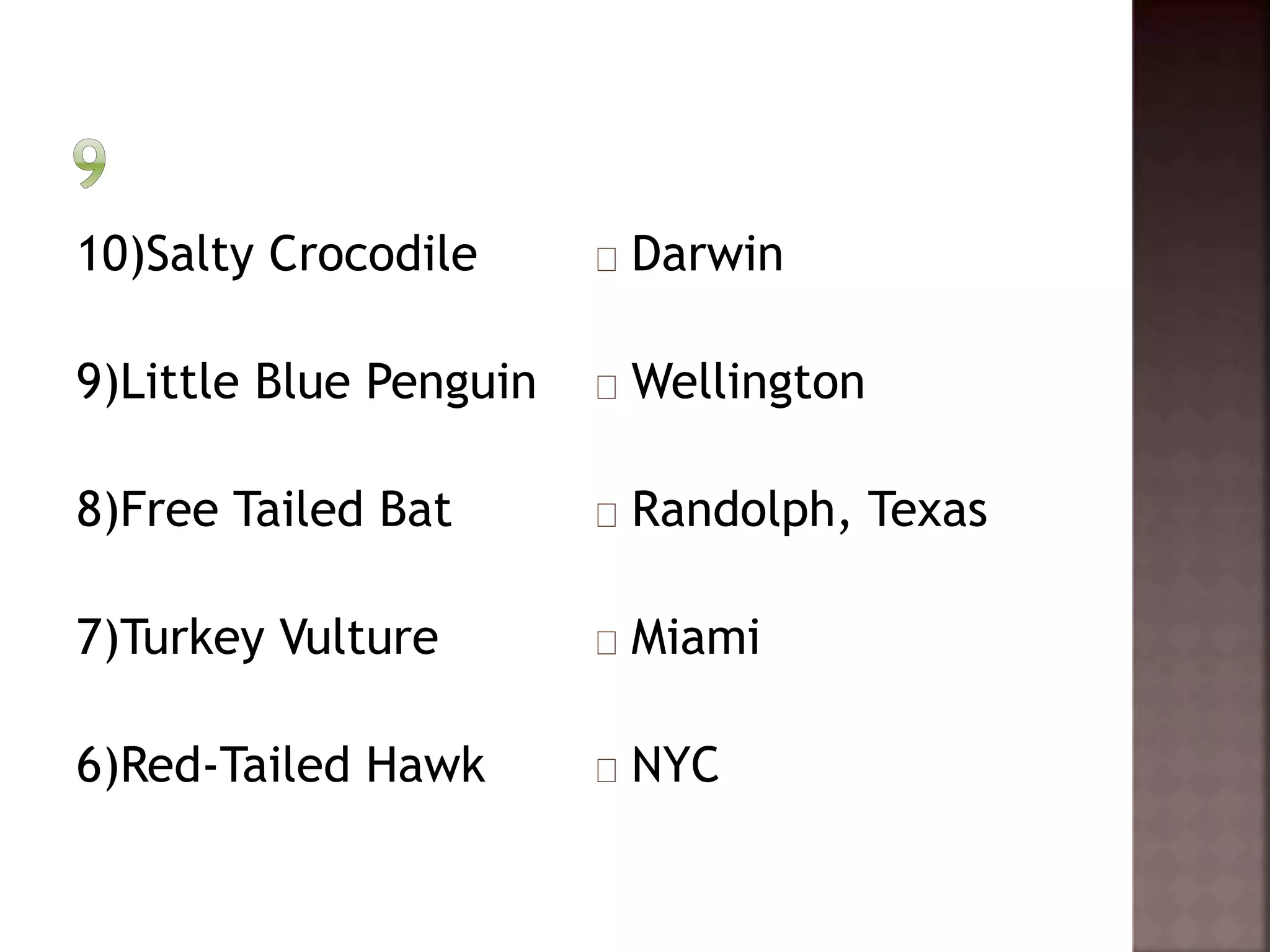 10)Salty Crocodile 
9)Little Blue Penguin 
8)Free Tailed Bat 
7)Turkey Vulture 
6)Red-Tailed Hawk 
Darwin 
Wellington 
Randolph, Texas 
Miami 
NYC 
 