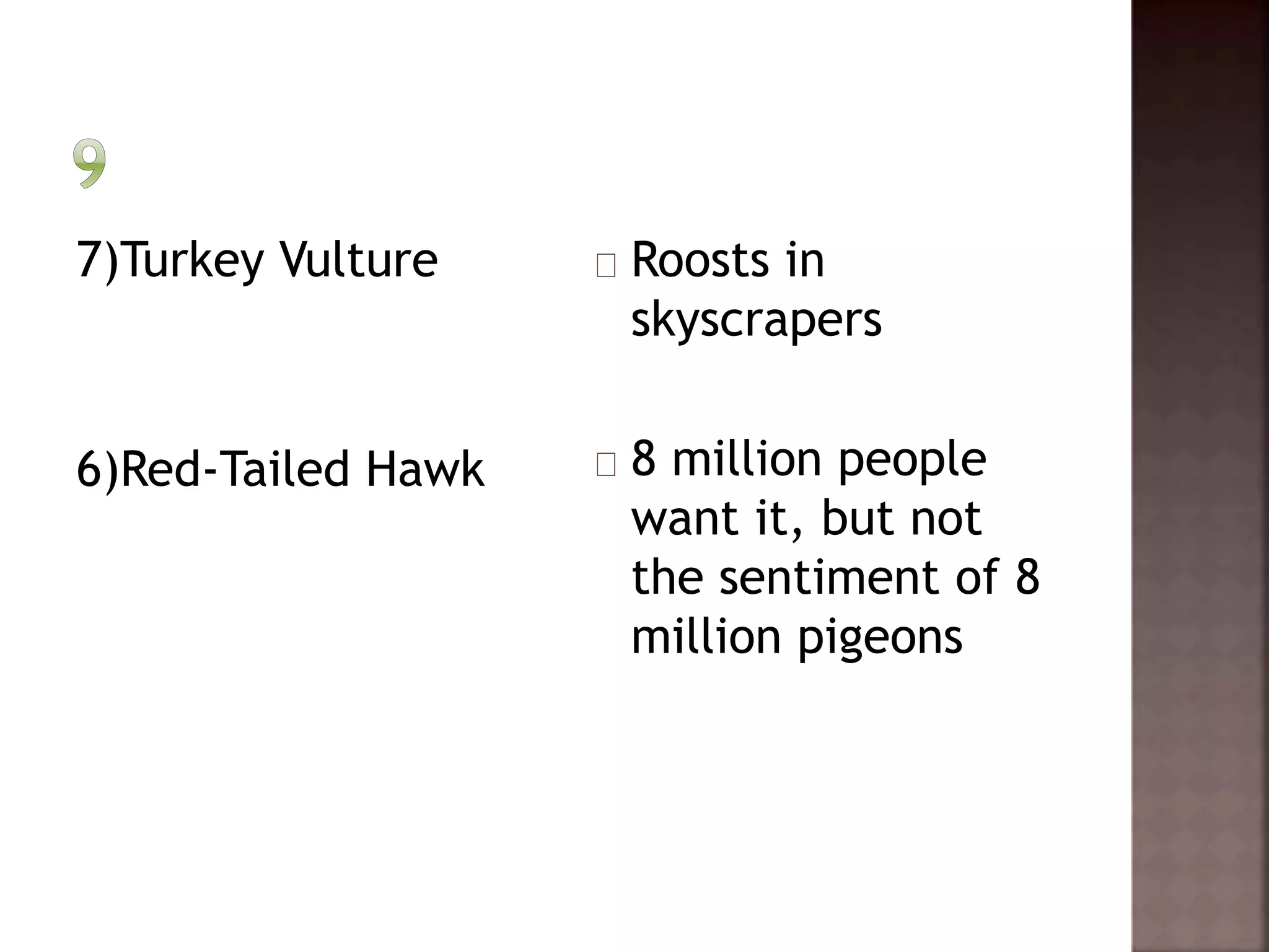 7)Turkey Vulture 
6)Red-Tailed Hawk 
Roosts in 
skyscrapers 
8 million people 
want it, but not 
the sentiment of 8 
million pigeons 
 