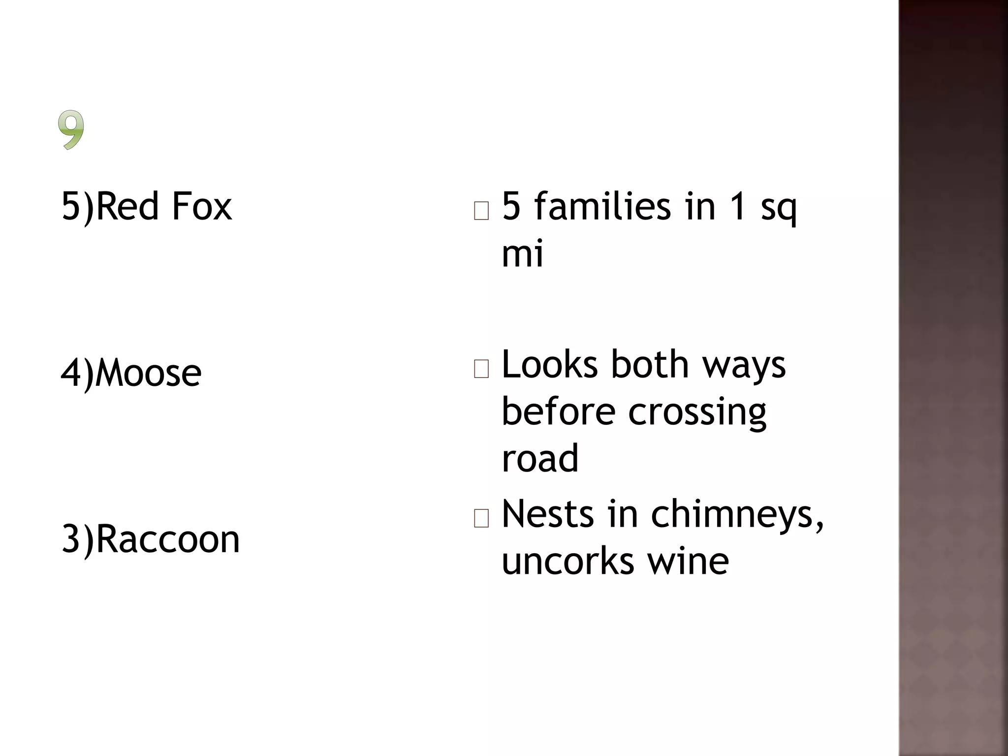 5)Red Fox 
4)Moose 
3)Raccoon 
5 families in 1 sq 
mi 
Looks both ways 
before crossing 
road 
Nests in chimneys, 
uncorks wine 
 