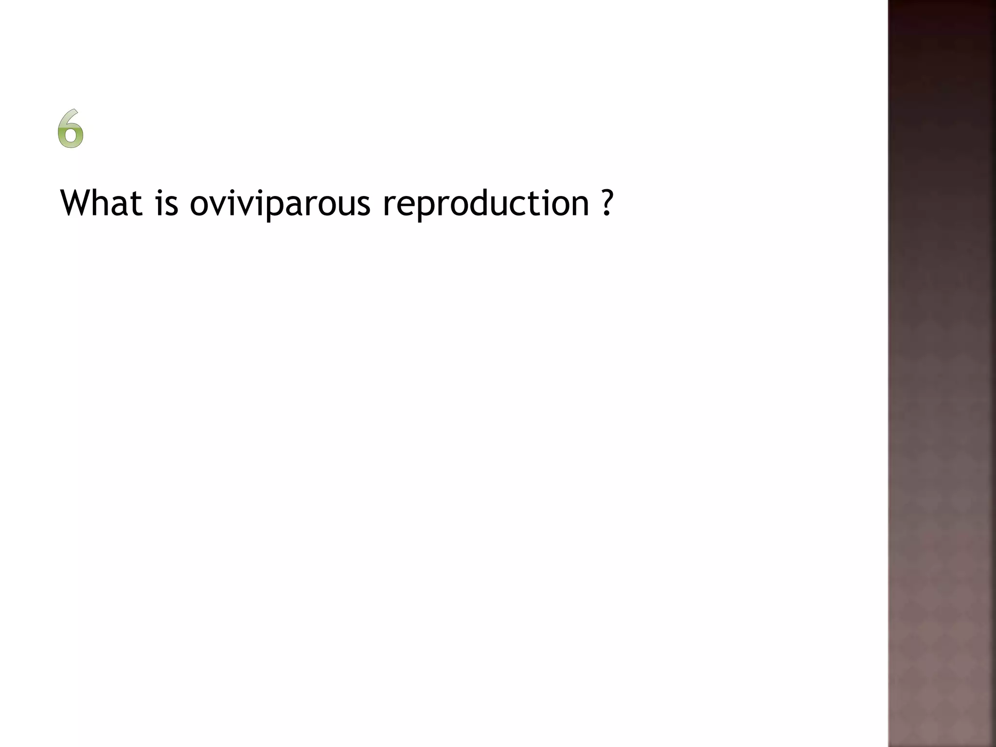 What is oviviparous reproduction ? 
 