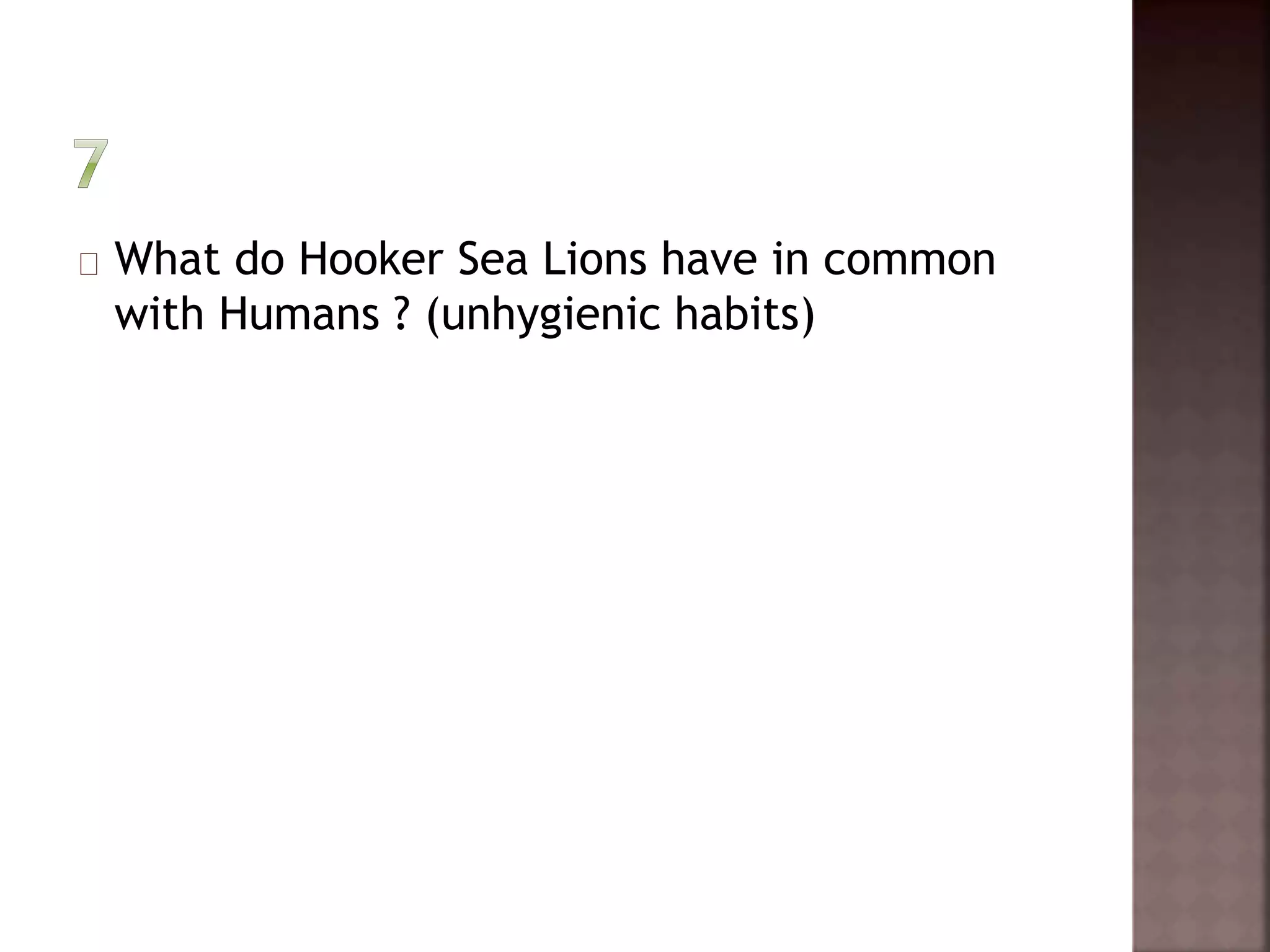 What do Hooker Sea Lions have in common 
with Humans ? (unhygienic habits) 
 