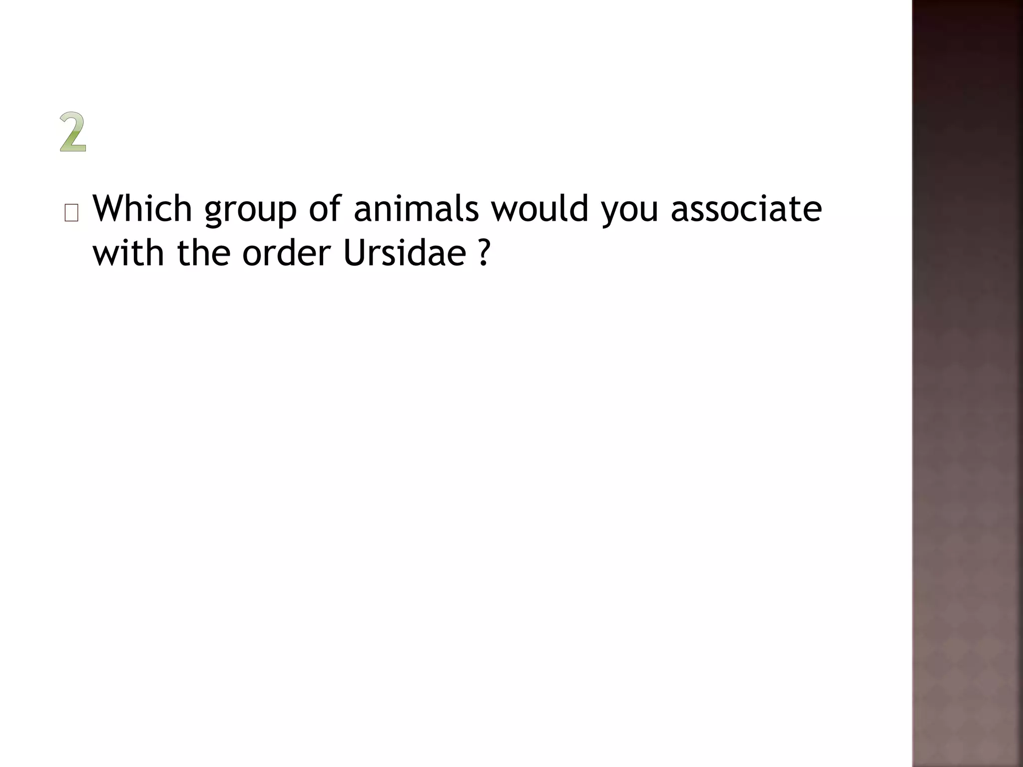 Which group of animals would you associate 
with the order Ursidae ? 
 