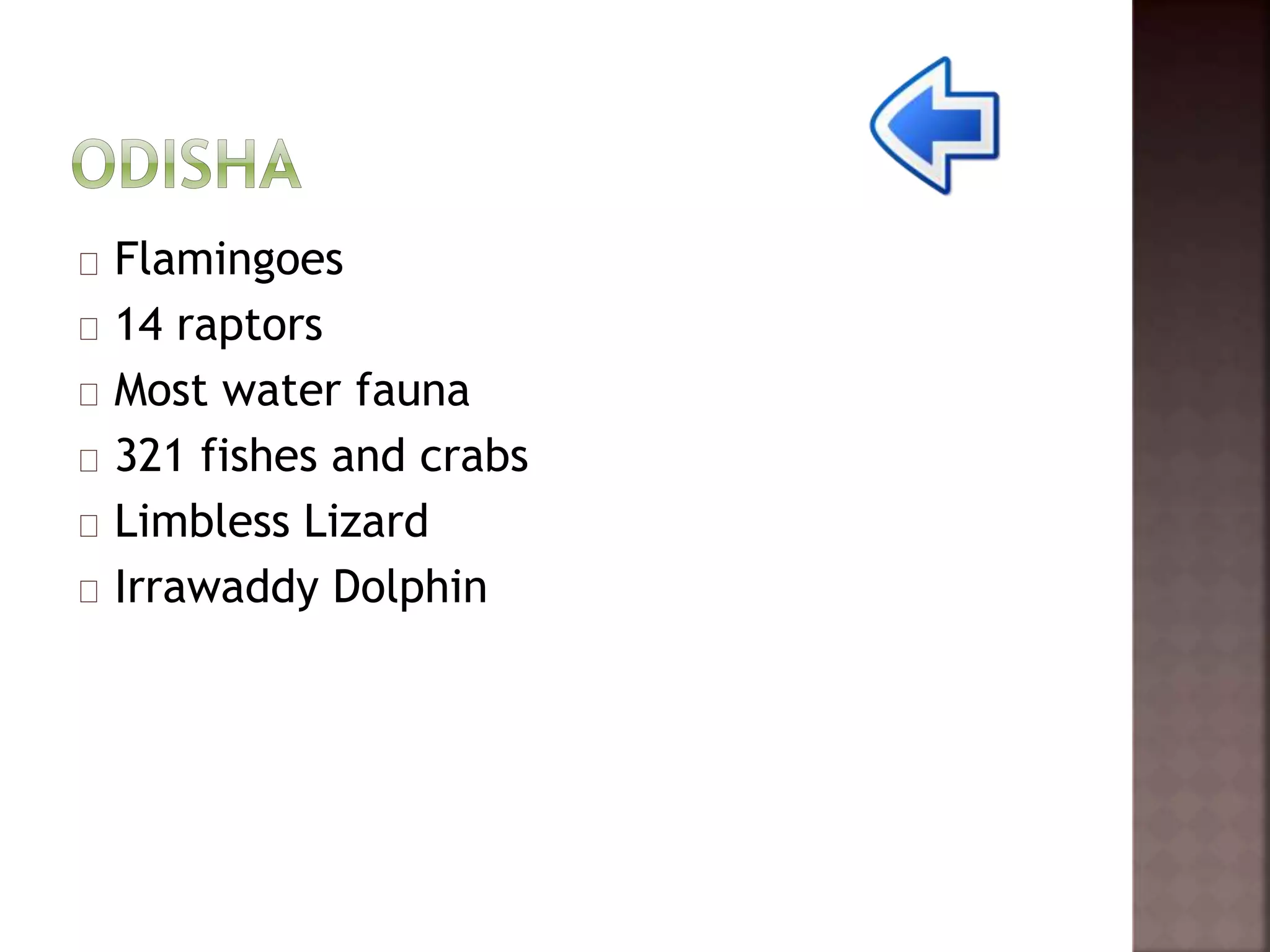 Flamingoes 
14 raptors 
Most water fauna 
321 fishes and crabs 
Limbless Lizard 
Irrawaddy Dolphin 
 