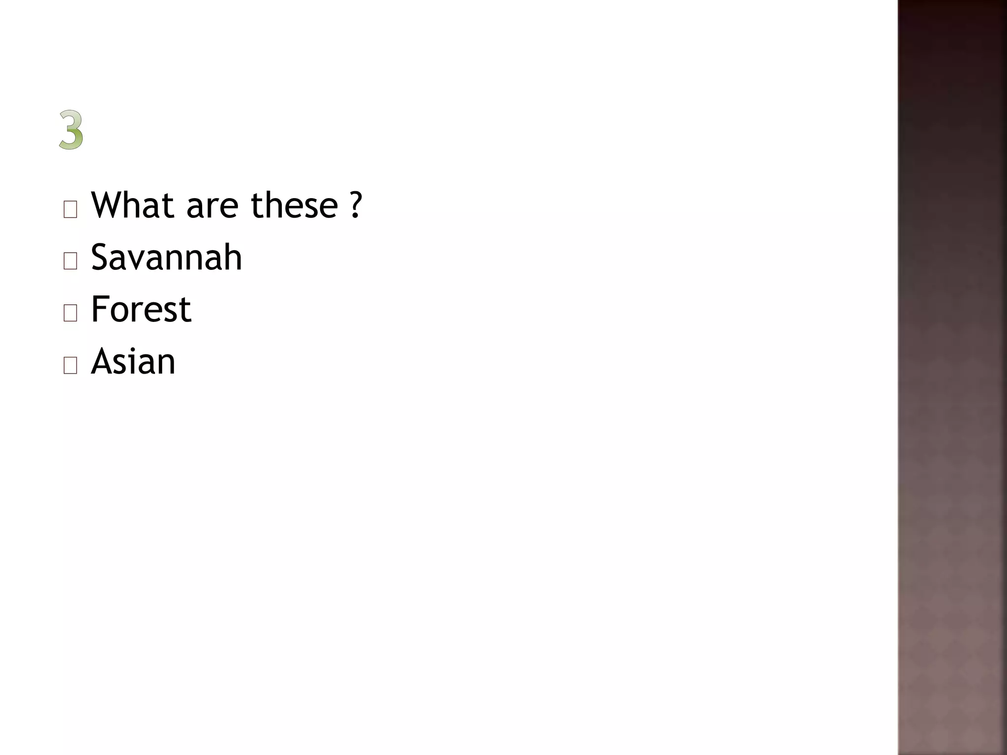 What are these ? 
Savannah 
Forest 
Asian 
 