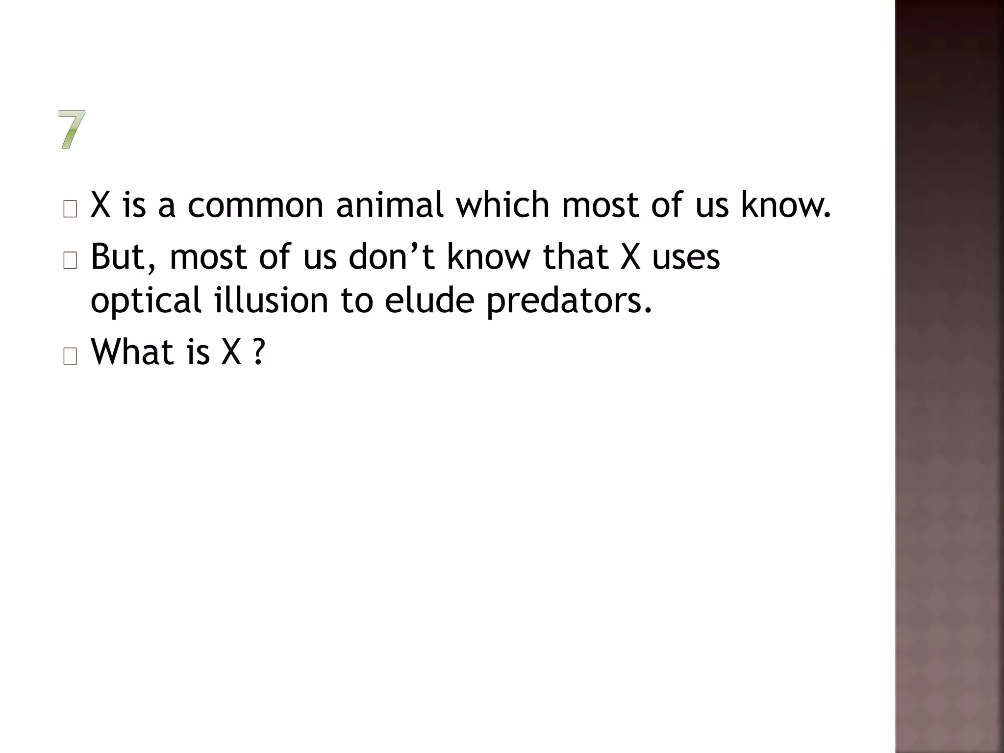 X is a common animal which most of us know. 
But, most of us don’t know that X uses 
optical illusion to elude predators. 
What is X ? 
 