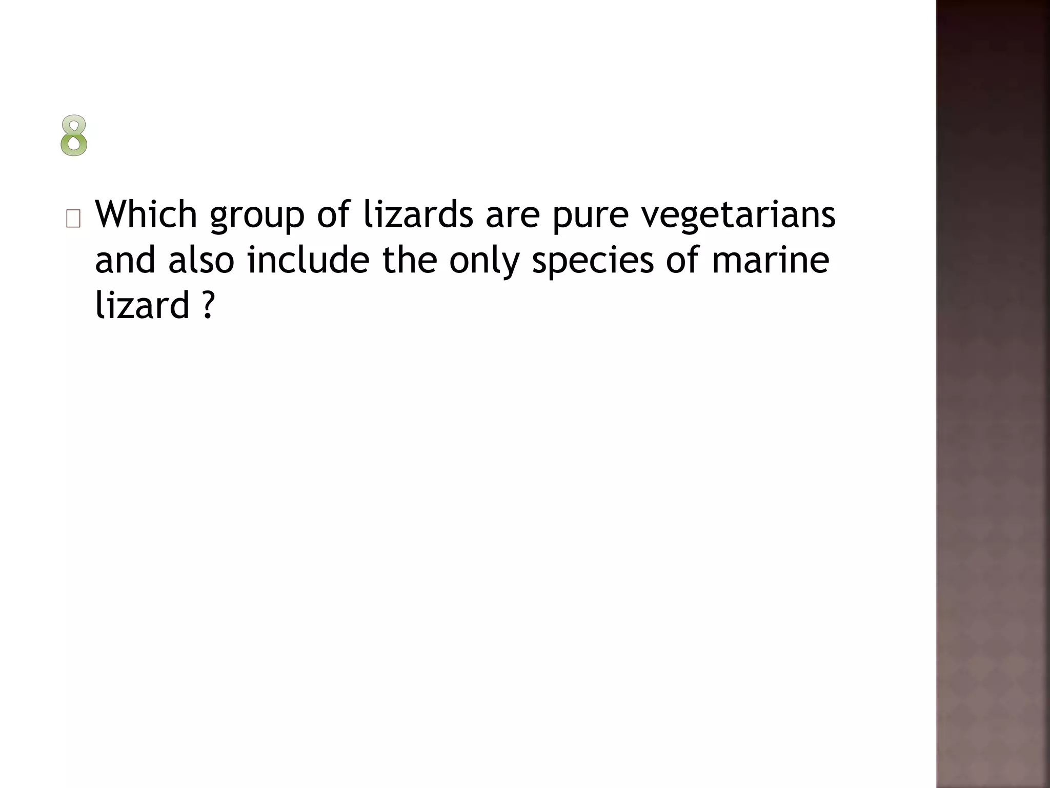 Which group of lizards are pure vegetarians 
and also include the only species of marine 
lizard ? 
 