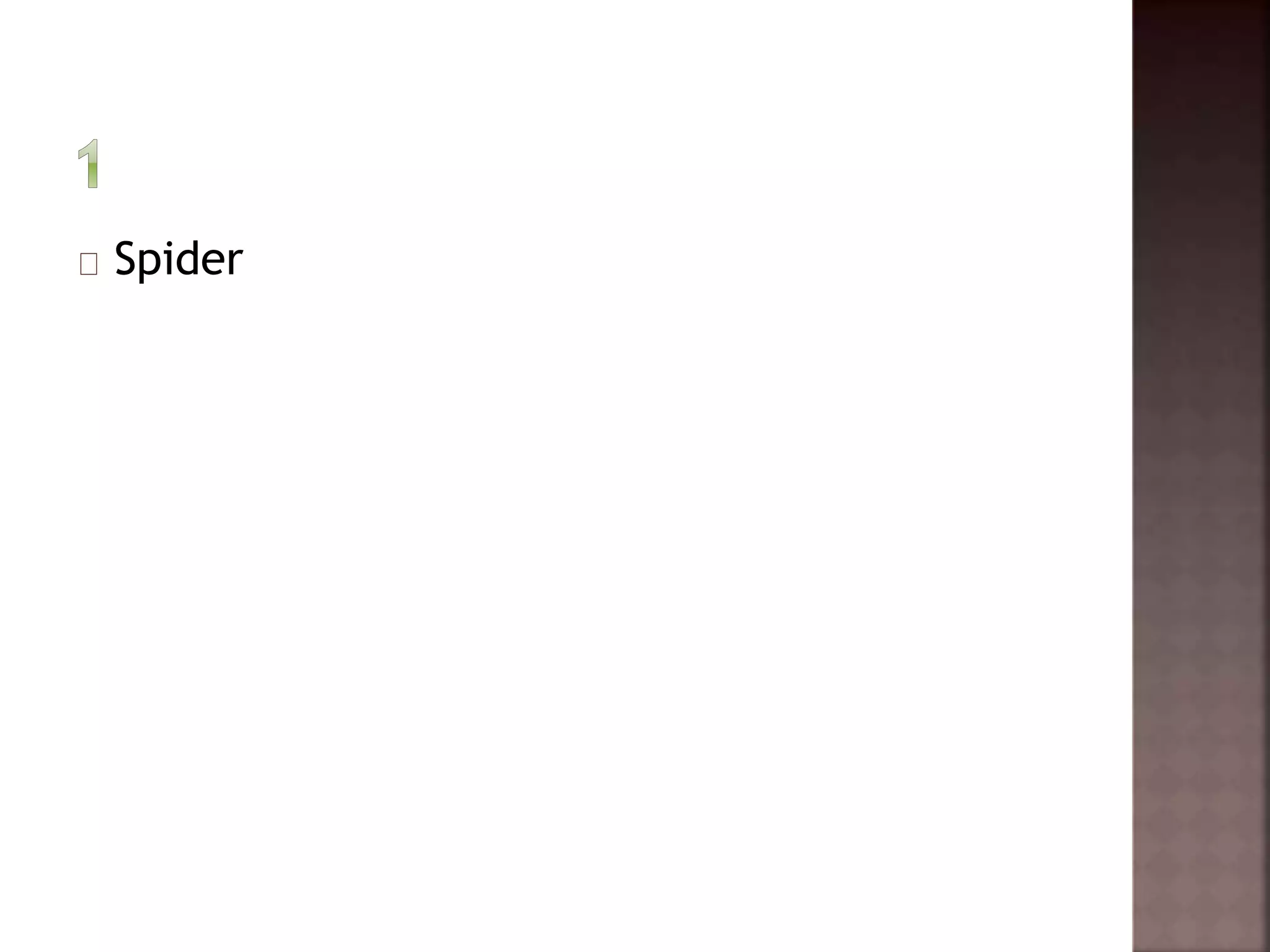 Spider 
 