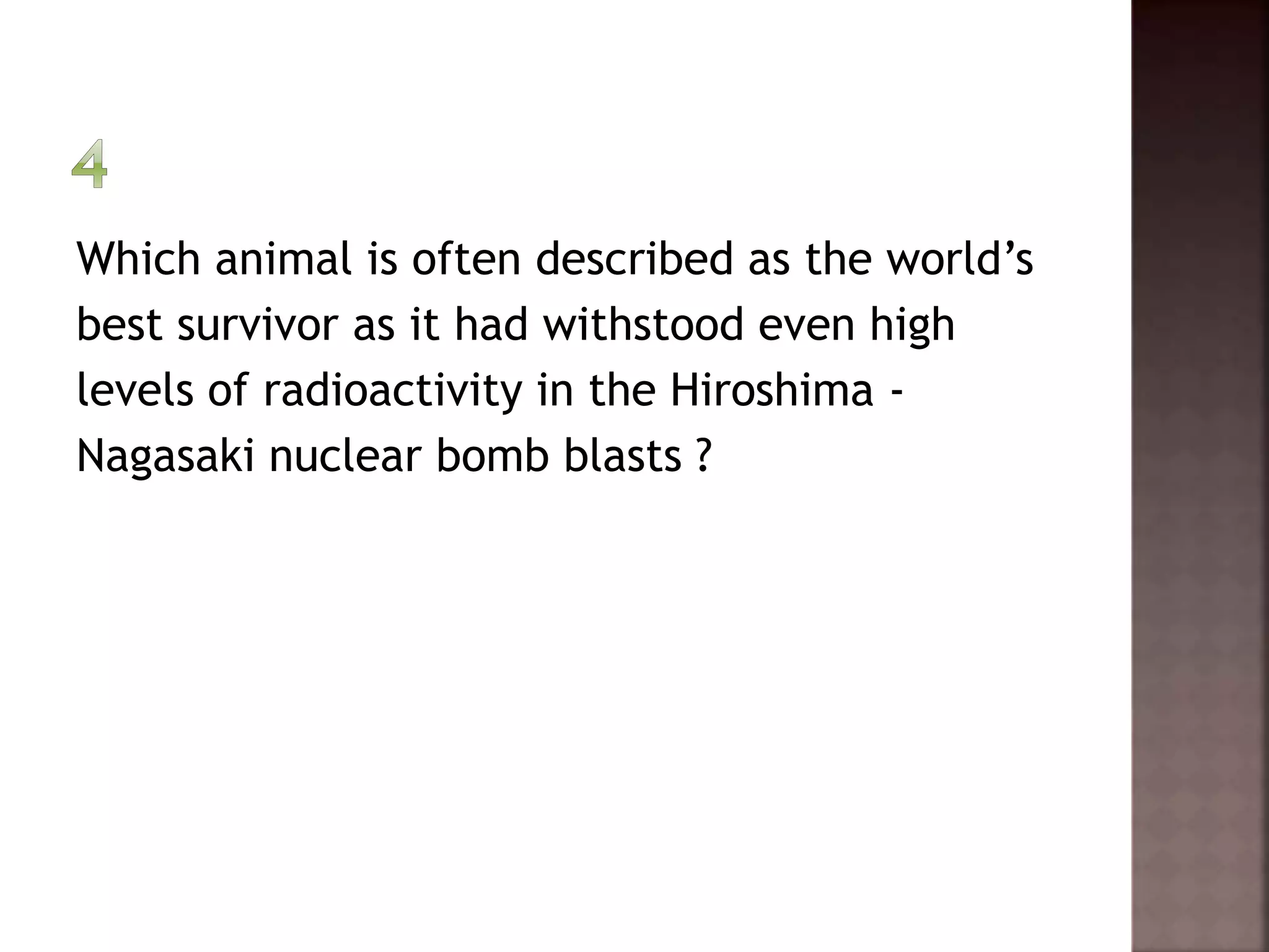 Which animal is often described as the world’s 
best survivor as it had withstood even high 
levels of radioactivity in the Hiroshima - 
Nagasaki nuclear bomb blasts ? 
 