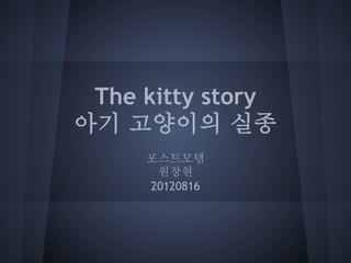 The kitty story
아기 고양이의 실종
     포스트모템
      원창현
     20120816
 