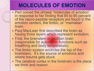 MOLECULES OF EMOTION
 Pert coined the phrase ―molecules of emotion‖
in response to her finding that 85 to 95 percent
of the neuro-peptide receptors are found in the
emotion centers, the limbic, or ―mamalian‖
brain.
 Paul MacLean first described the brain as
having three layers which represent evolution;
 First, the brainstem or reptilian brain
(responsible for autonomic functions such as
breathing and body temperature).
 The limbic system encircles the top of the
brainstem. It‘s the source of emotions and
where trauma gets stuck.
 The cerebral cortex in the forebrain is the place
we think and reason.
 