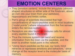 EMOTION CENTERS
 They [emotion centers] include the amygdala (almond-
shaped structures on either side of the forebrain, about
an inch into your brain from your earlobes),
hippocampus and limbic cortex.
 Pert‘s group of scientists discovered that high
concentrations of neuro-peptides exist in most locations
(―nodal points‖) where information from the five senses
enters the nervous system.
 Receptors are also found on immune cells for almost
every peptide found in the brain.
 Thus the immune system can send and receive
information from the brain via the peptides, and the
brain is another nodal point in the network.
 ―Using neuro-peptides as the cue, our body mind
retrieves or represses emotions and behaviors,‖ since
change at the receptor level is the molecular basis of
memory.
 