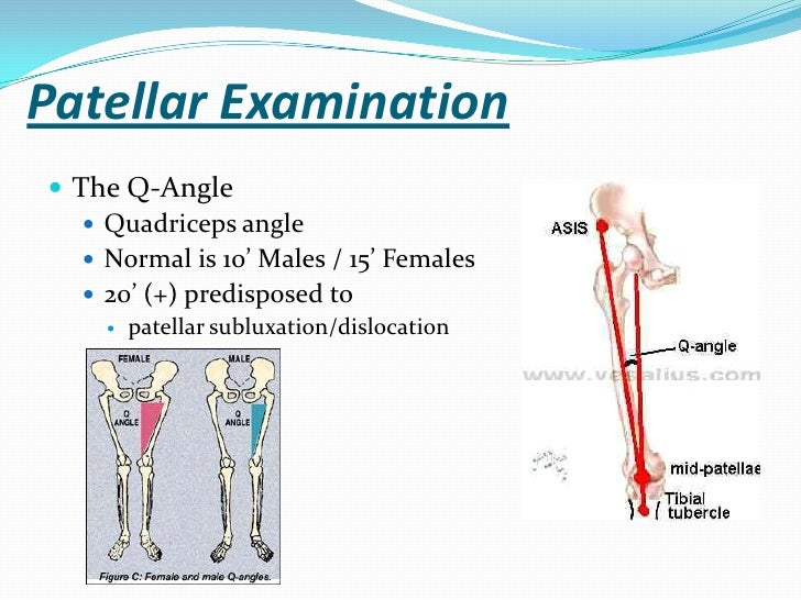 The knee and related structures f09