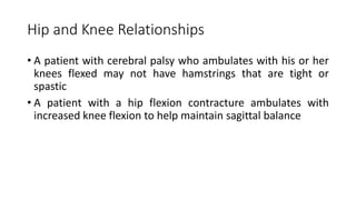 Hip and Knee Relationships
• A patient with cerebral palsy who ambulates with his or her
knees flexed may not have hamstrings that are tight or
spastic
• A patient with a hip flexion contracture ambulates with
increased knee flexion to help maintain sagittal balance
 