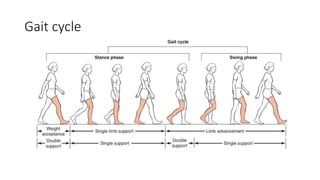 Gait cycle
 