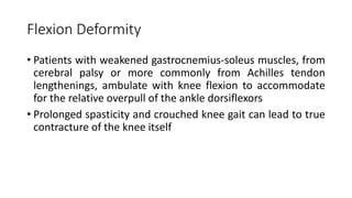 Flexion Deformity
• Patients with weakened gastrocnemius-soleus muscles, from
cerebral palsy or more commonly from Achilles tendon
lengthenings, ambulate with knee flexion to accommodate
for the relative overpull of the ankle dorsiflexors
• Prolonged spasticity and crouched knee gait can lead to true
contracture of the knee itself
 