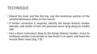 TECHNIQUE
• Extend the knee and flex the hip, and the tendinous portion of the
semimembranosus slides on the muscle
• If further correction is required, identify the biceps femoris tendon
laterally, and isolate it from the peroneal nerve lying along its medial
side
• Pass a blunt instrument deep to the biceps femoris tendon, incise its
tendinous portion transversely at two levels 3 cm apart, and leave the
muscle fibers intact (Fig. 7 D)
 