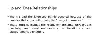 Hip and Knee Relationships
• The hip and the knee are tightly coupled because of the
muscles that cross both joints, the “two-joint muscles.”
• These muscles include the rectus femoris anteriorly, gracilis
medially, and semimembranosus, semitendinosus, and
biceps femoris posteriorly
 