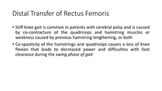 Distal Transfer of Rectus Femoris
• Stiff knee gait is common in patients with cerebral palsy and is caused
by co-contracture of the quadriceps and hamstring muscles or
weakness caused by previous hamstring lengthening, or both
• Co-spasticity of the hamstrings and quadriceps causes a loss of knee
flexion that leads to decreased power and difficulties with foot
clearance during the swing phase of gait
 