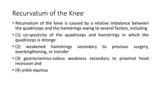 Recurvatum of the Knee
• Recurvatum of the knee is caused by a relative imbalance between
the quadriceps and the hamstrings owing to several factors, including
• (1) co-spasticity of the quadriceps and hamstrings in which the
quadriceps is stronge
• (2) weakened hamstrings secondary to previous surgery,
overlengthening, or transfer
• (3) gastrocnemius-soleus weakness secondary to proximal head
recession and
• (4) ankle equinus
 
