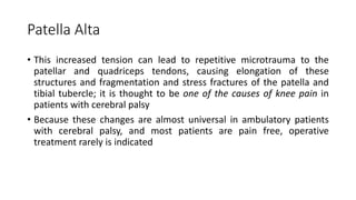 Patella Alta
• This increased tension can lead to repetitive microtrauma to the
patellar and quadriceps tendons, causing elongation of these
structures and fragmentation and stress fractures of the patella and
tibial tubercle; it is thought to be one of the causes of knee pain in
patients with cerebral palsy
• Because these changes are almost universal in ambulatory patients
with cerebral palsy, and most patients are pain free, operative
treatment rarely is indicated
 