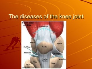The diseases of the knee joint 