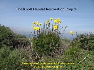 The Knoll Habitat Restoration Project




   Association of Environmental Professionals
             UCSD Student Chapter
 