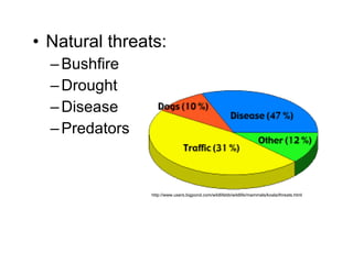 Natural threats: Bushfire  Drought  Disease  Predators  http://www.users.bigpond.com/wildlifebb/wildlife/mammals/koala/threats.html 