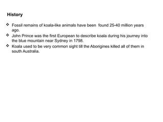 THE KOALAS ; AN ENDANGERED ANIMAL- PRESENTATION/PPT | PPTX